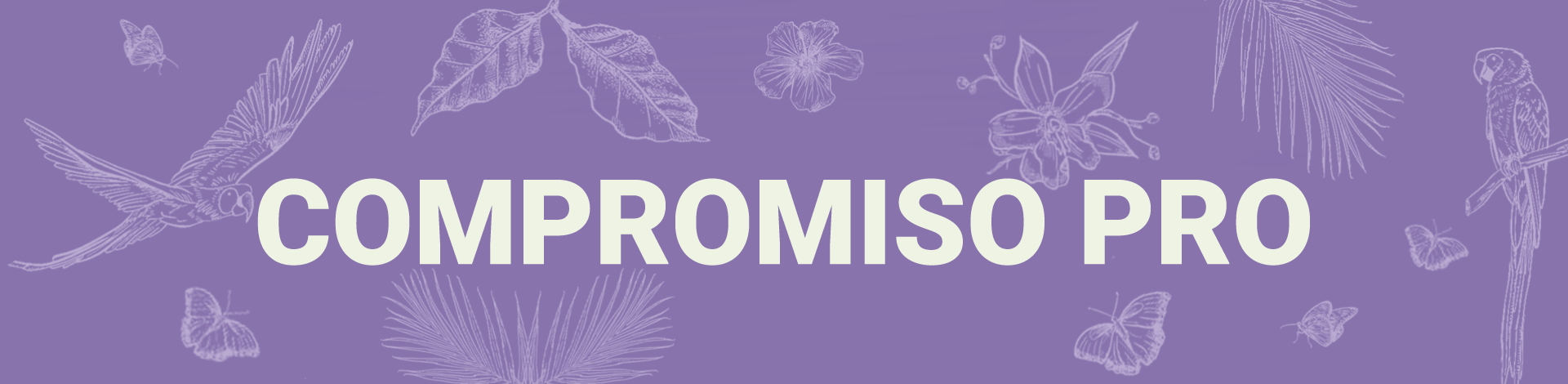 compromiso pro
