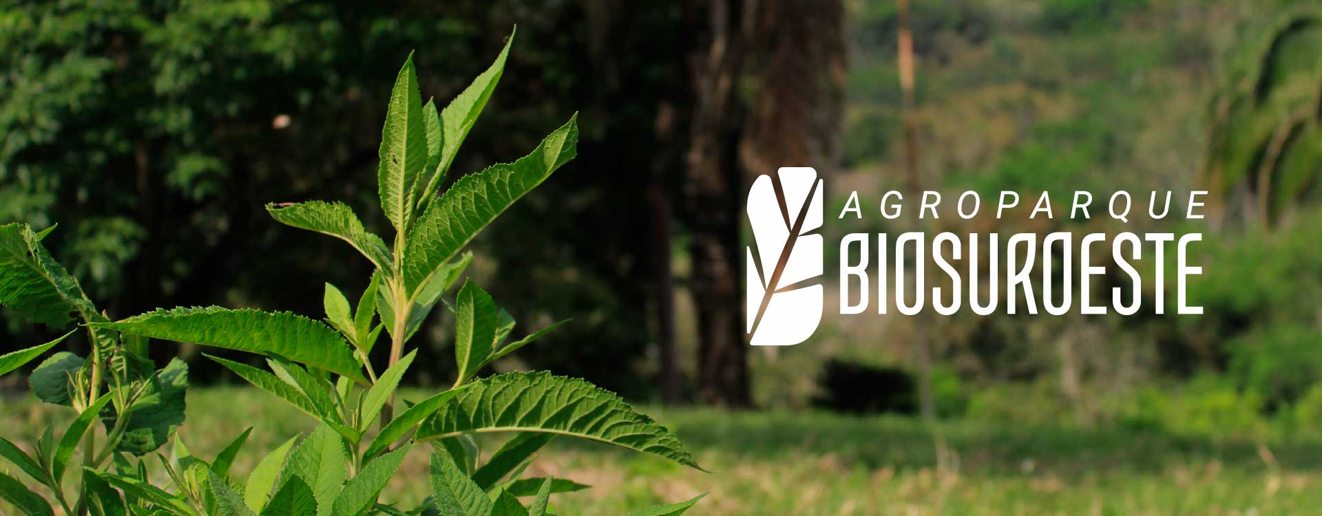 Visión comunidad Suroeste