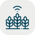 Icono desarrollo rural