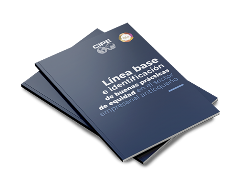 Línea base e identificación de buenas prácticas de equidad