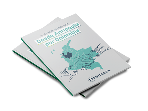 Informe de gestión 2021