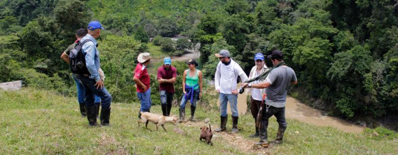 Paz en los territorios