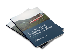 El rol del sector empresarial en la construcción de paz