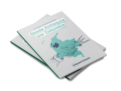 Informe de gestión 2021